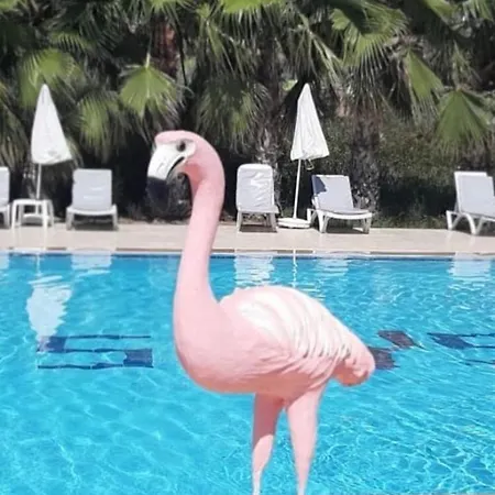 Skys 3* マナウガト