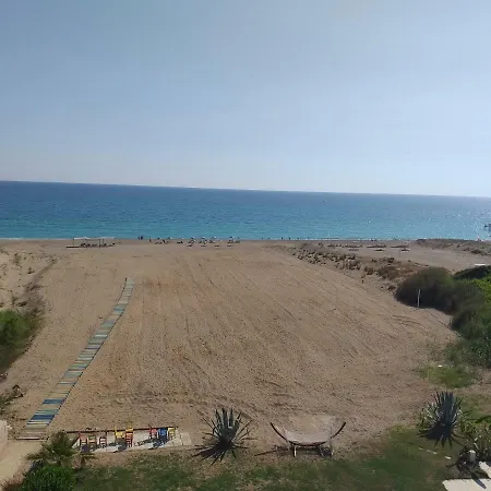 Skys ホテル マナウガト