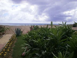 Skys 3*